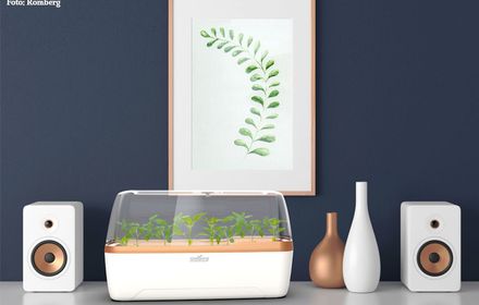 Indoor Gärtnern