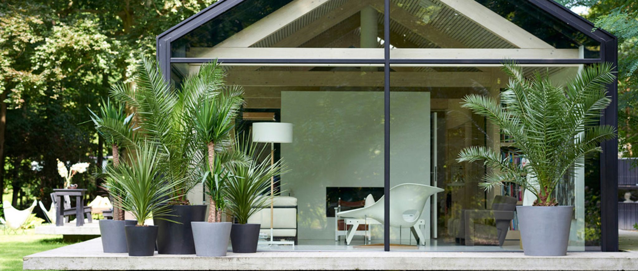 Gartenpflanze des Monats September 2018